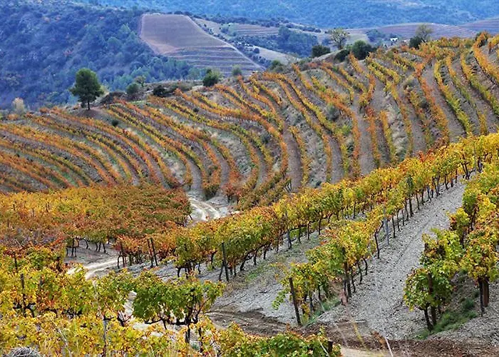 Ca La Victoria 펜션